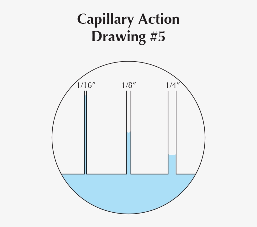 Drawing, transparent png #6496984