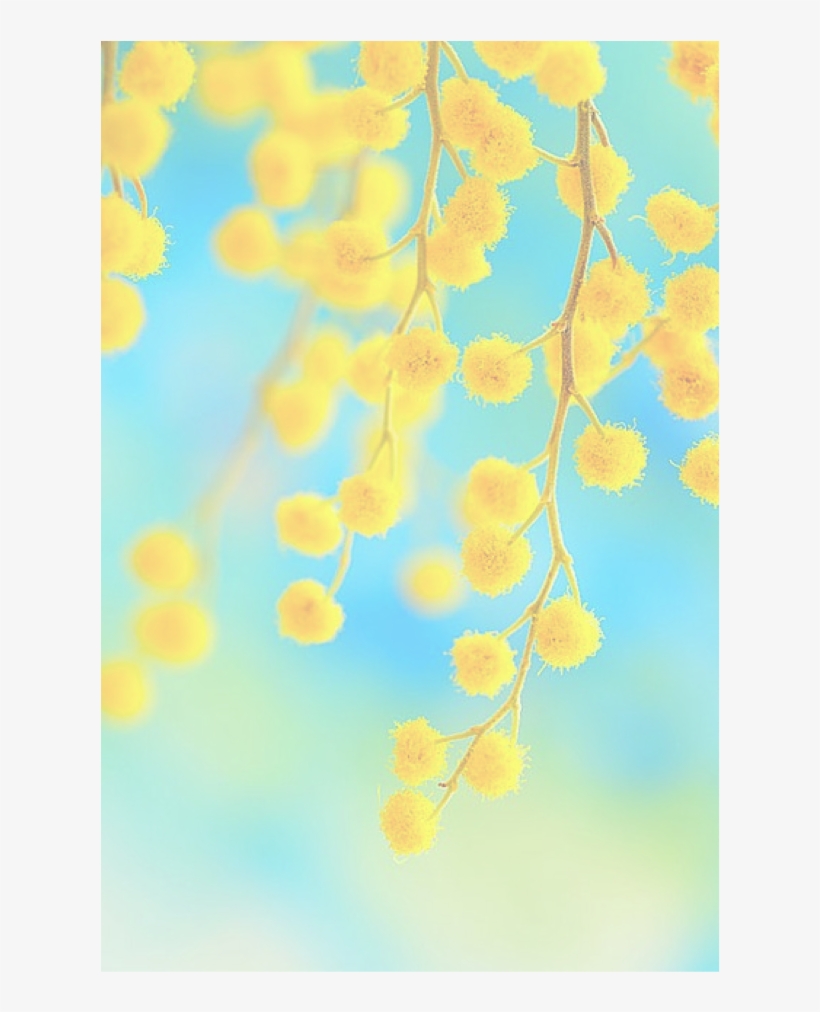 에밀리 On Twitter, transparent png #6497272