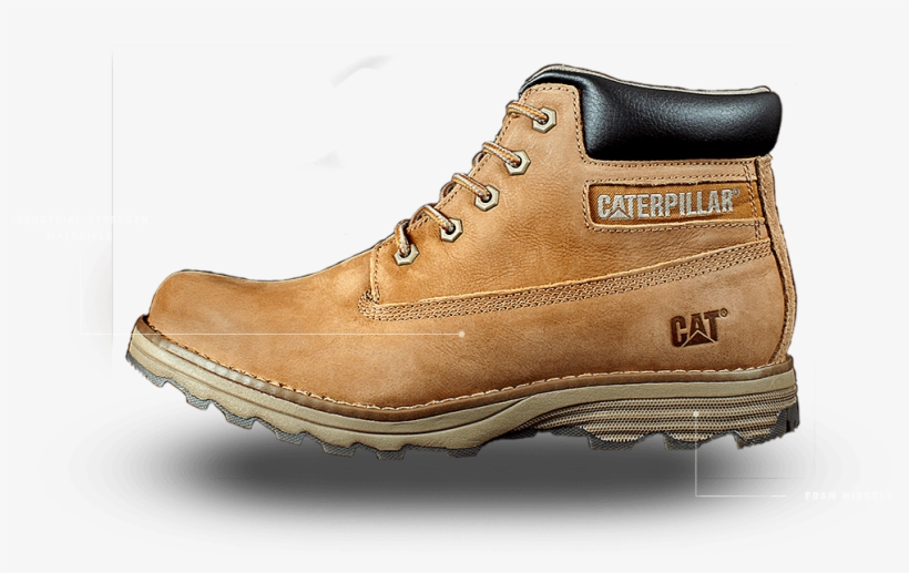 Check The Cat Page At Ebates For Exclusive Coupons, transparent png #6498108