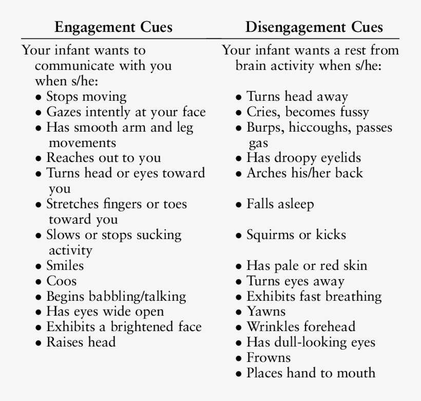 An Infant's Signals For Engagement And Disengagement - Table, transparent png #651286