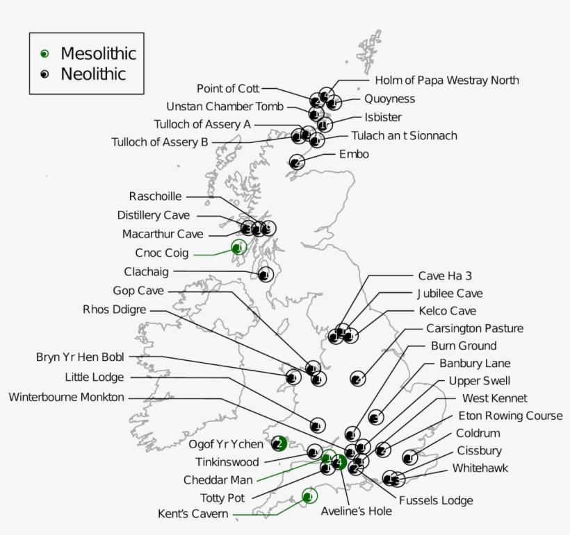 Exciting Preprint Paper From @selbrace @boothicus @chrisstringer65 - Diagram, transparent png #651863