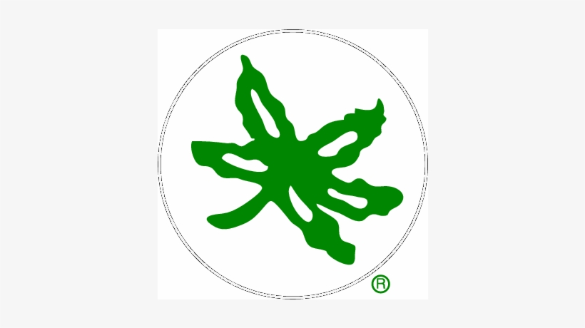 Free Ohio State Buckeyes Clipart Ohio State Buckeye Leaf Sticker Free Transparent Png Download Pngkey