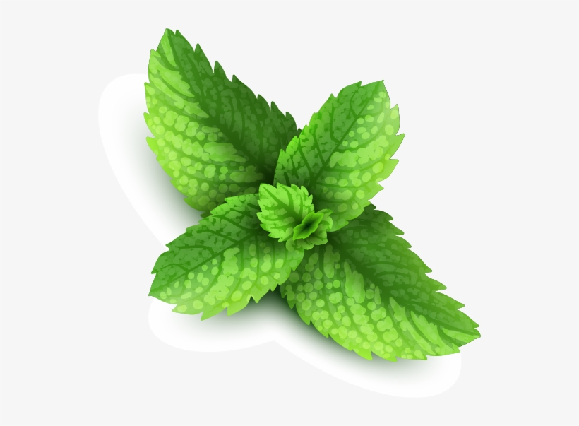 Pepermint Png - Mint Png, transparent png #653011