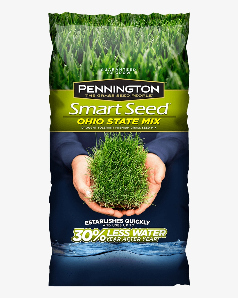Addthis Sharing Buttons - Pennington 3 Lb. Tall Fescue Shade Grass Seed Pc Mix, transparent png #653164