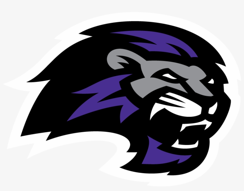Image Result For Paine College Lions Logo - Paine College Logo, transparent png #653350