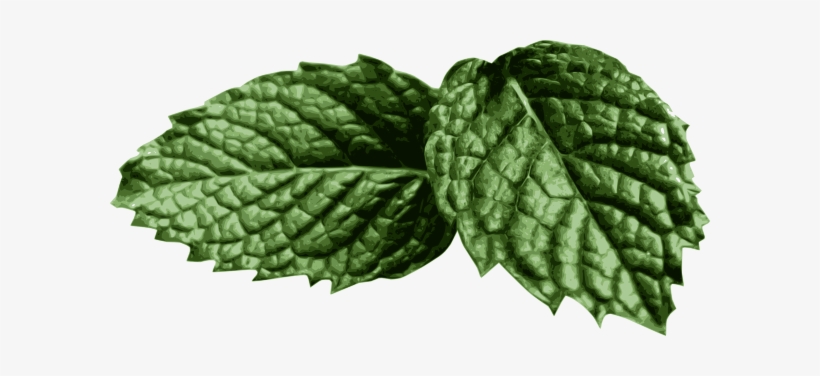 How To Set Use Mint Leaves Clipart, transparent png #653370