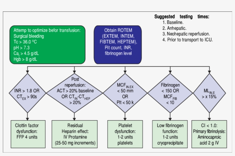 Ohio State University Liver Transplant Transfusion - Diagram, transparent png #653473