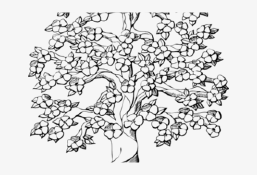 Flower Blossom Tree Drawing, transparent png #653615