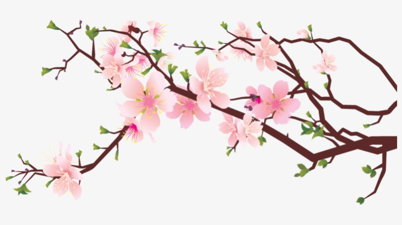 Cherry Blossom Png Transparent, transparent png #653745