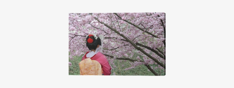 Geisha And Blooming Sakura Tree Canvas Print • Pixers® - Japanese Old Festival With Cherry Blossoms, transparent png #654056