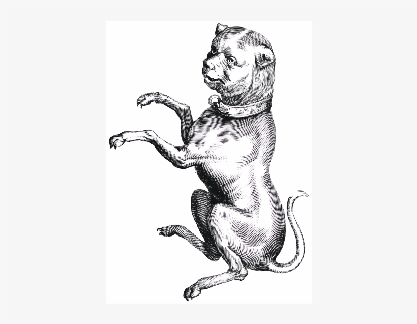 This Graphics Is A Strange Dog About - Constellation, transparent png #654670
