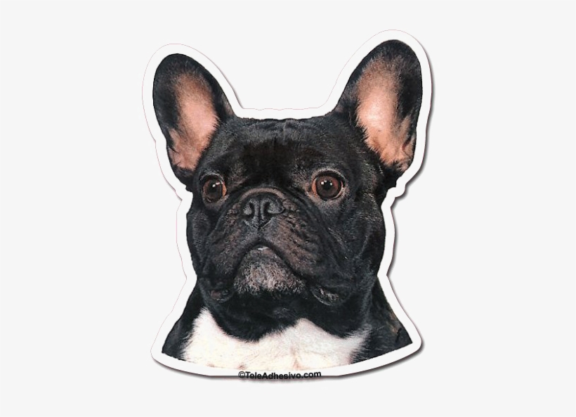Bulldog Transparent Images - French Bulldog Dog Portrait Counted Cross Stitch Pattern, transparent png #654759