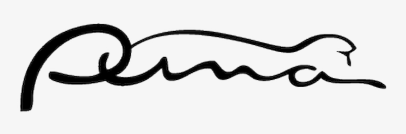 Ford Puma Logo, transparent png #654850