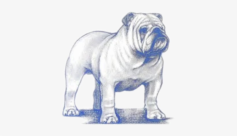 Breeder Referral The Illustrated Standard Of - West Coast Of The United States, transparent png #654854