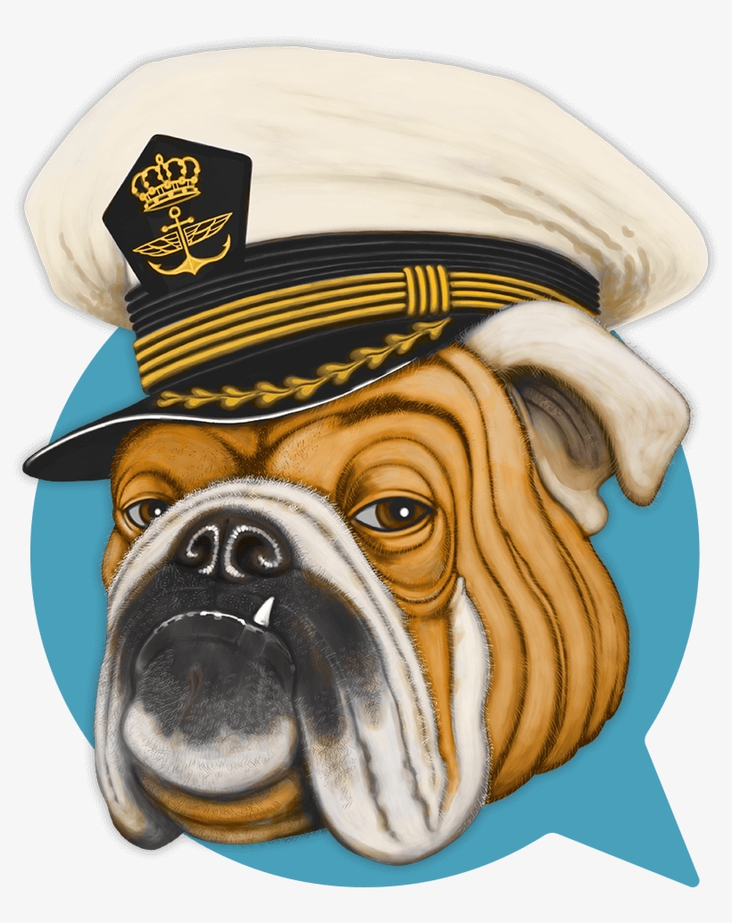 Bulldog And Partners - Dog, transparent png #654874