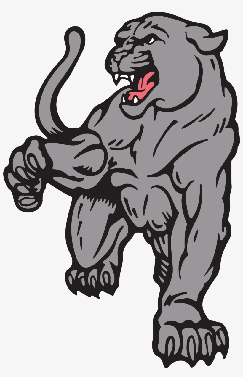 Chaparral Pumas - Chaparral High School Temecula, transparent png #654875