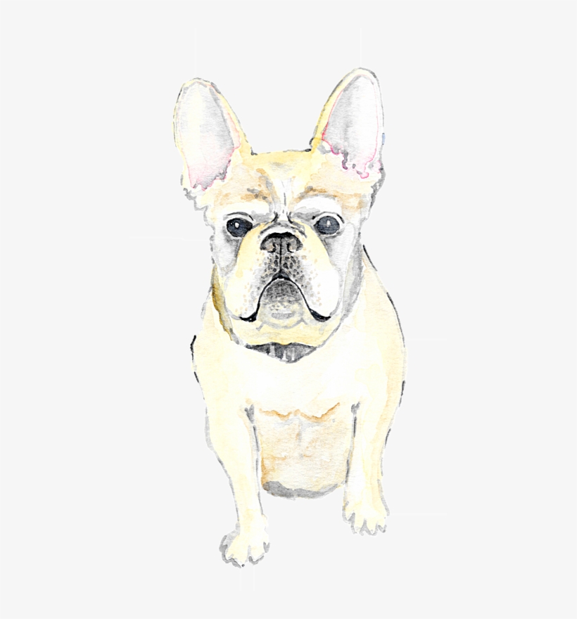Pet Illustration, transparent png #654901