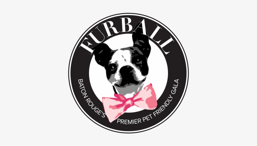 Companion Animal Alliance, transparent png #654962