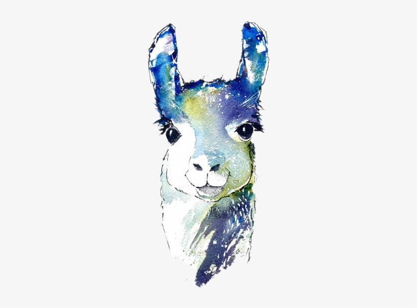 Camel Camello Sicker Freetoedit Sccamel - Llama Watercolor, transparent png #655073