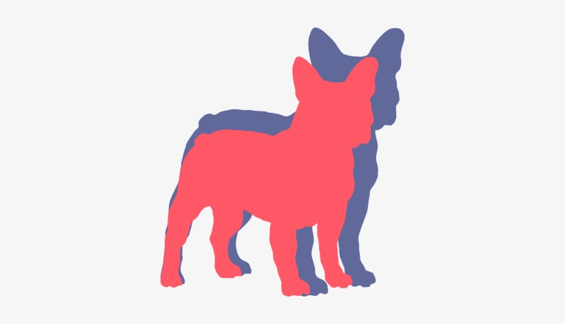 French Bulldog Health - Bulldog, transparent png #655221