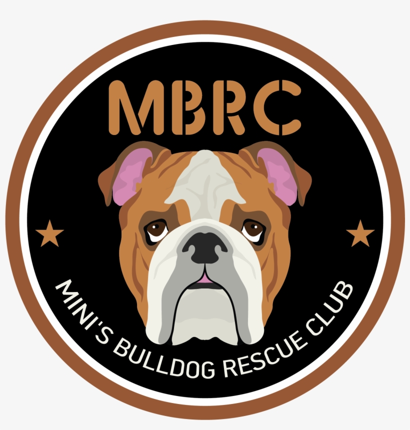 English Bulldog - Badge Holder - Dog Badge - Vet Badge, transparent png #655292