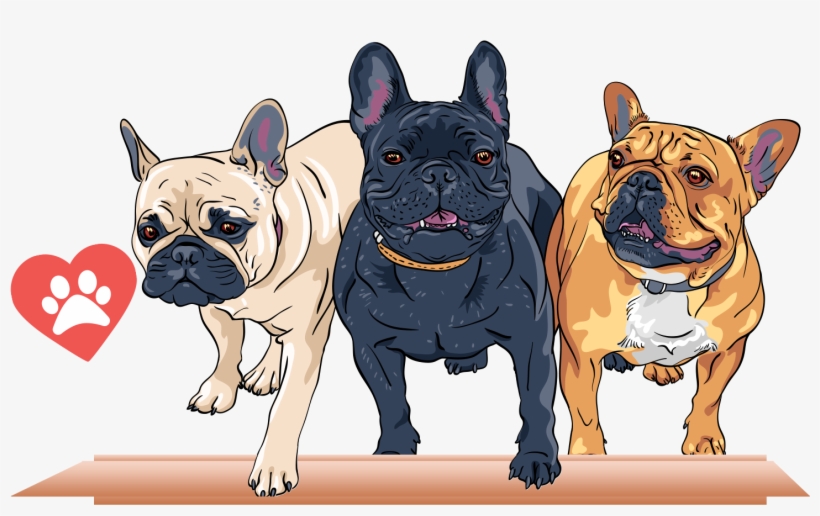 French Bulldog T - Too Hard To Look Back And You Re Too Afraid To Look, transparent png #655435