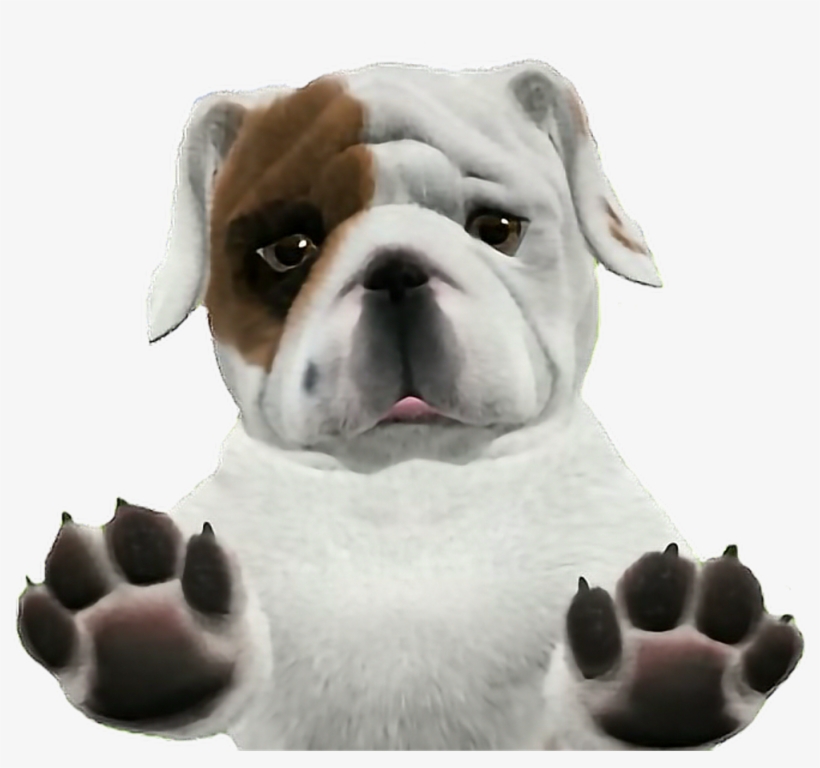 Bulldog Puppy - Transparent Background Dogs Png, transparent png #655455