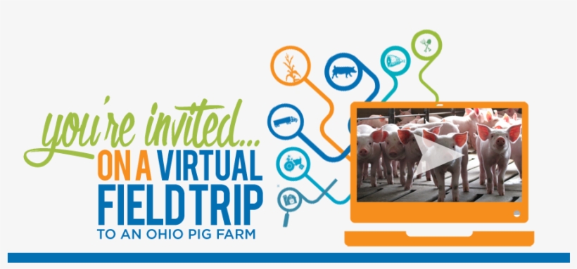 You're Invited On A Virtual Field Trip To An Ohio Pig - Salt River Fields At Talking, transparent png #655680