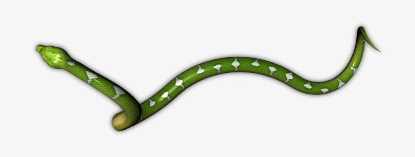 Snake Png Hd - Portable Network Graphics, transparent png #655706