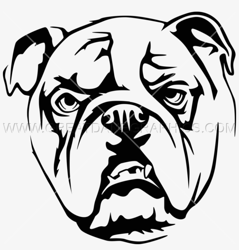 Tan Bulldog - Olde English Bulldogge, transparent png #655764