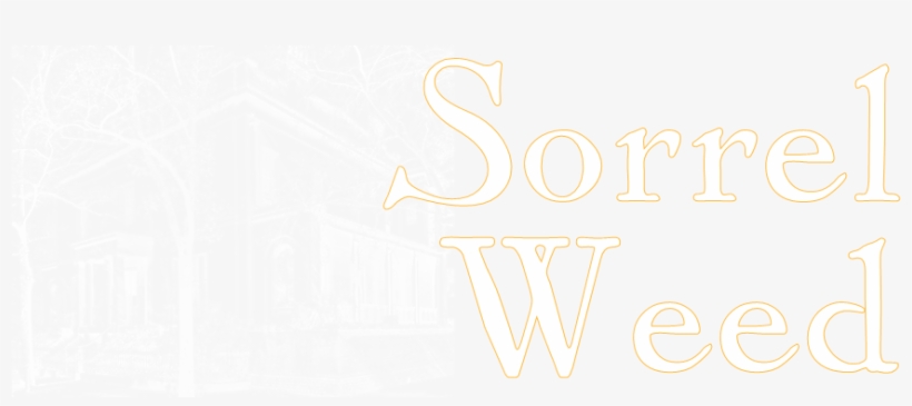 Ghost Tours - Savannah, transparent png #656069