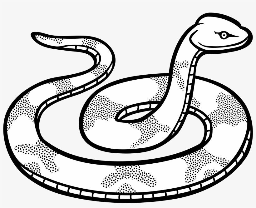 Drawn Snake Snake Png - Black And White Clip Art Snake, transparent png #656151