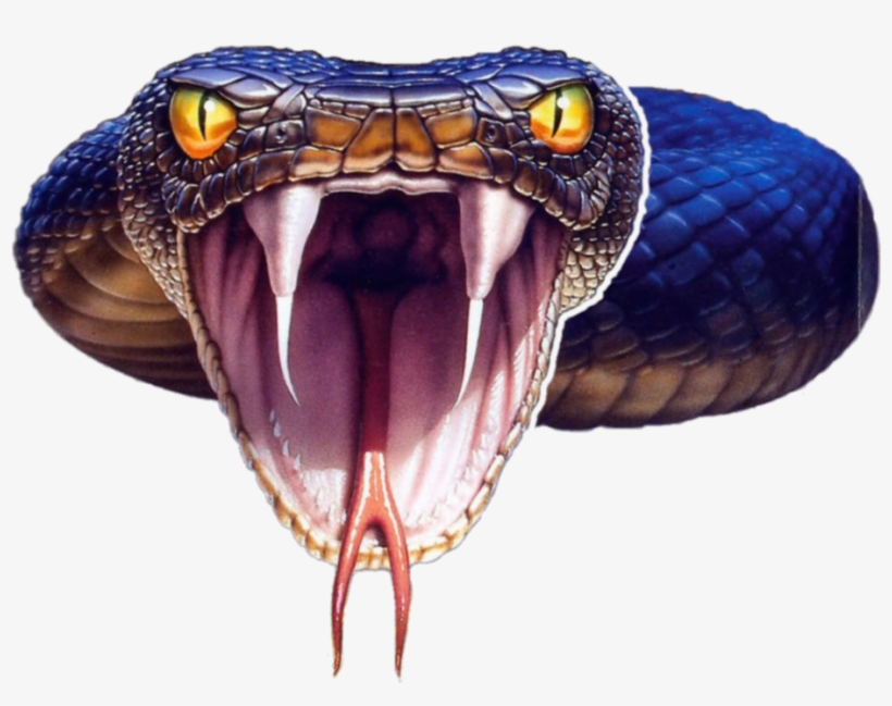 Black Mamba Snake Png Photo - Black Mamba Snake Png, transparent png #656253