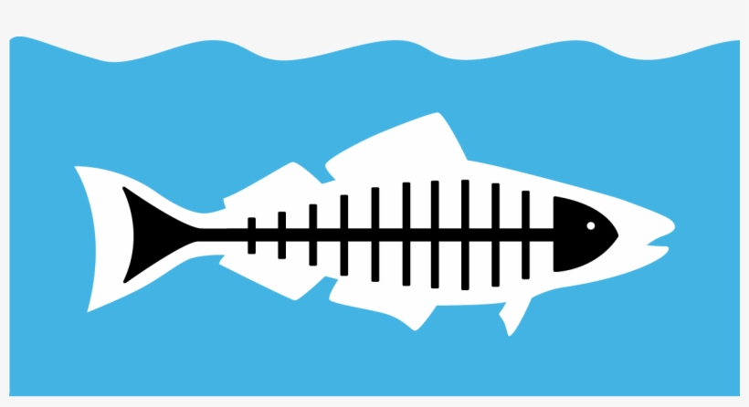 Heal The Bay - Heal The Bay Logo, transparent png #656300