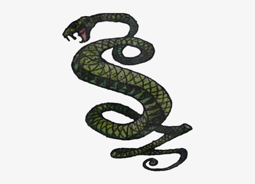 Drawn Snake Snake Png - Tunnel Snakes, transparent png #656303