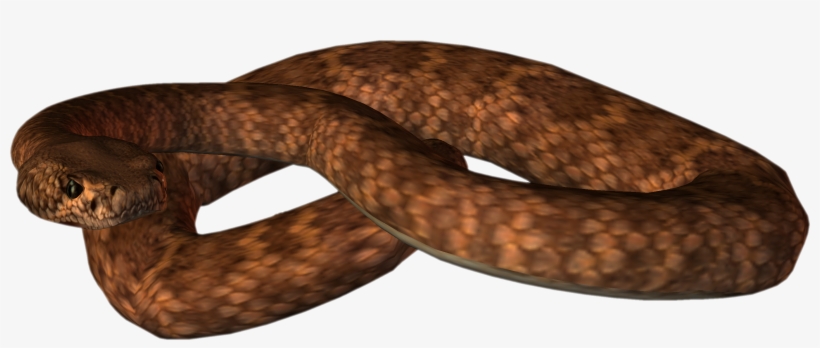 Free Png Animated Snake Png Images Transparent - Common Brown Snake Png, transparent png #656545