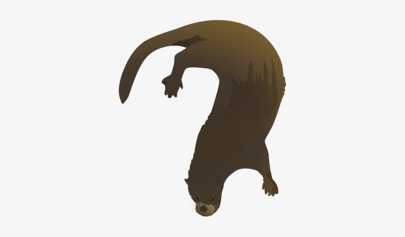 Lontra Canadensis - Transparent River Otter, transparent png #658071