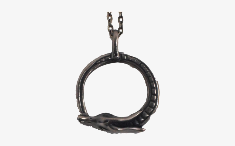 Ouroboros - Locket, transparent png #658188