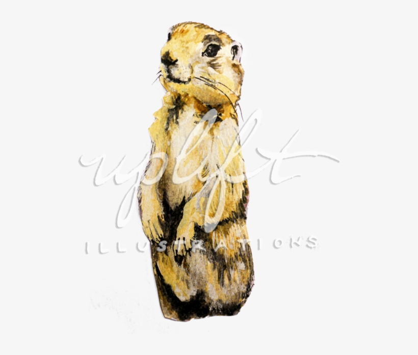 Prairie, transparent png #658269