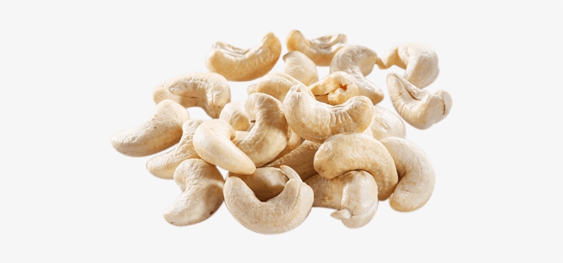 dry fruits kaju png free transparent png download pngkey dry fruits kaju png free transparent