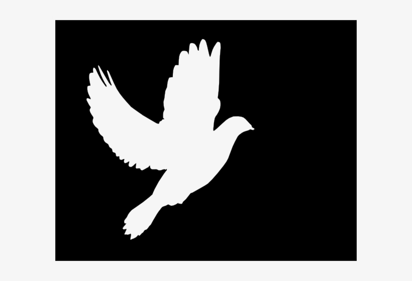 White Clip Art At - White Dove Vector Png, transparent png #658982