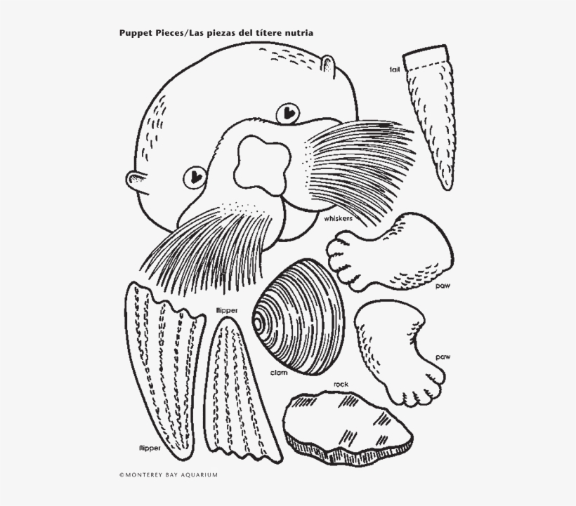 Sea Otter Lunch Bag Puppet - Otter Paper Bag Puppet, transparent png #659042