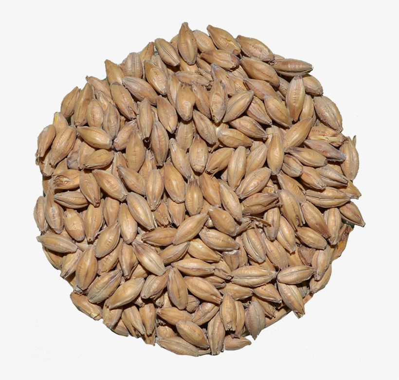 Maris Otter, transparent png #659150