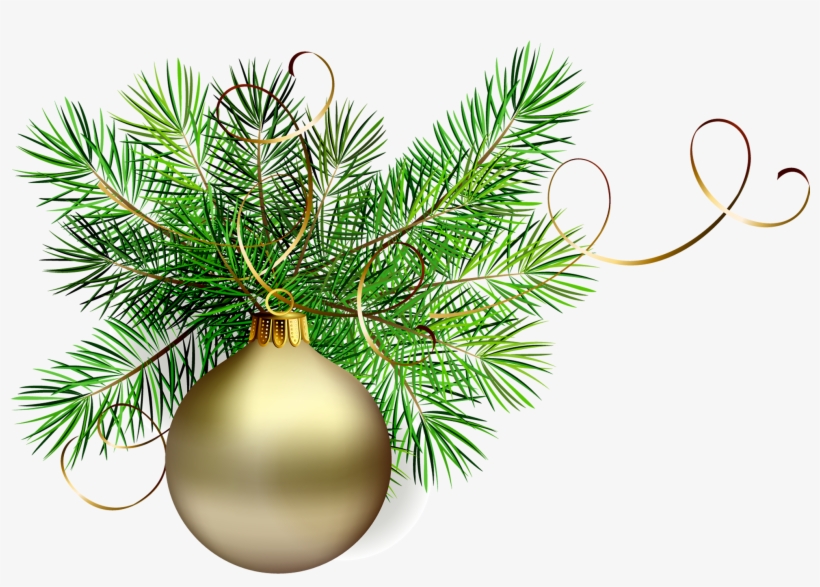 Transparent Gold Christmas Ball With Pine Clipart M=1381356000 - Christmas Tree Branch Png, transparent png #659151