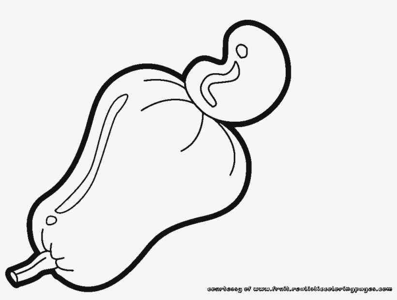 Collection Of Free Cadew Clipart Fruit Download - Cashew Black And White, transparent png #659197