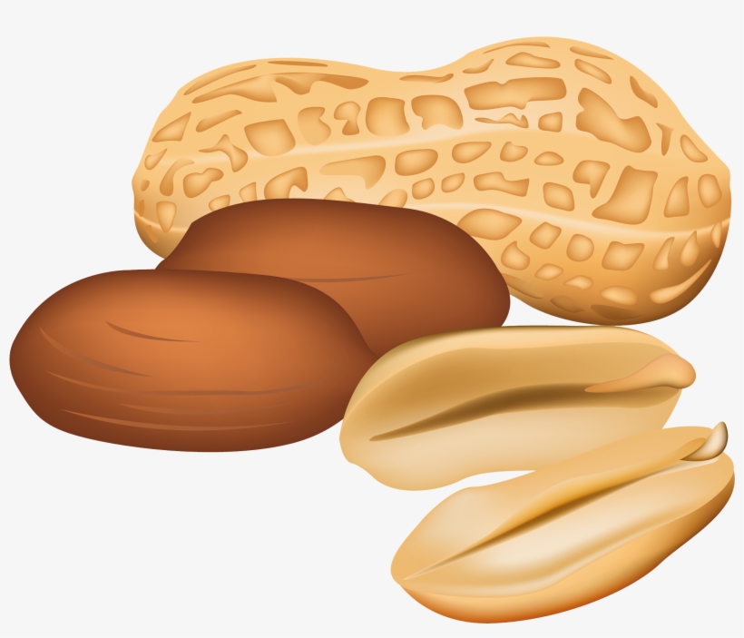 Peanuts Png Clipart Picture - Clip Art Nuts, transparent png #659457