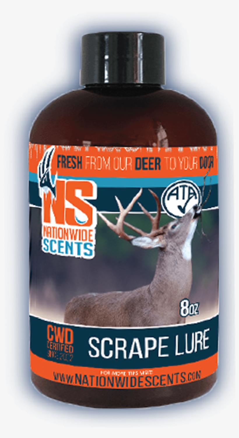 Research Was Done With Live Whitetails Bucks, transparent png #6500446