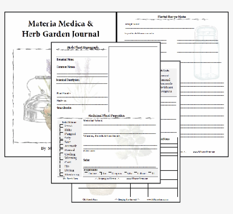 Record All These Wonderful Bachelor Button Facts On, transparent png #6501719