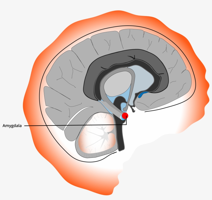 By Dgriff, transparent png #6502657