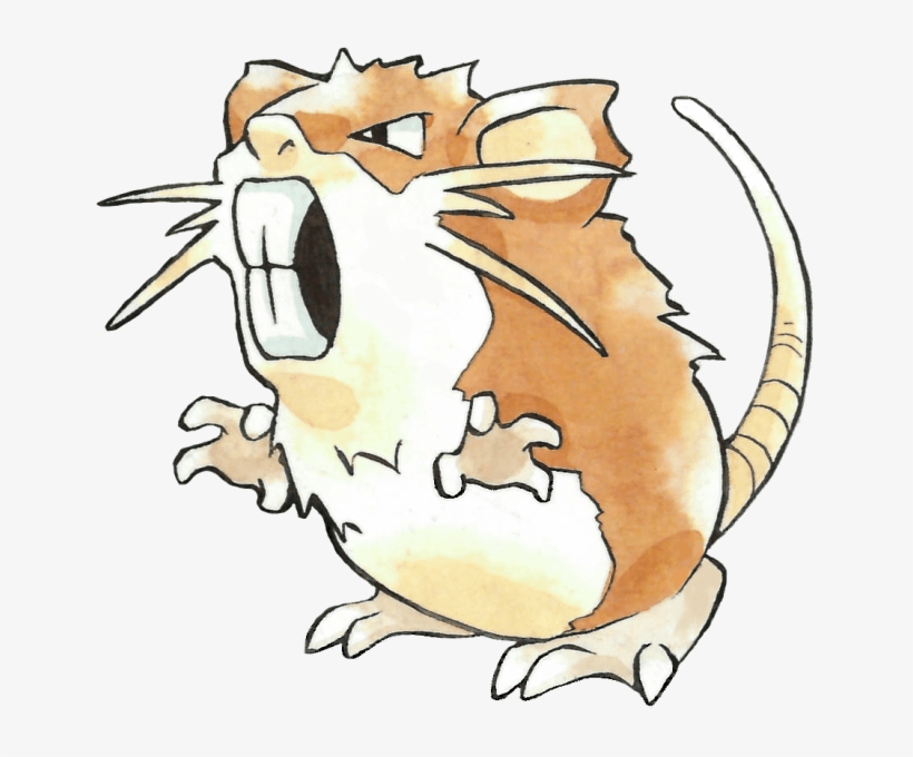 #raticate From The Official Artwork Set For #pokemon, transparent png #6505180